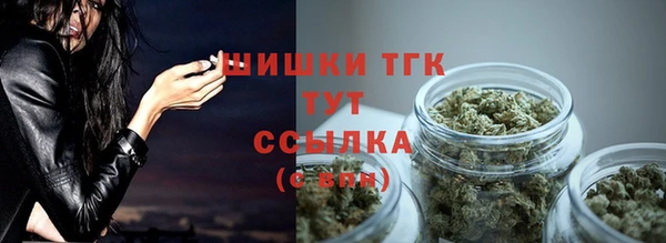 прущая мука Инта