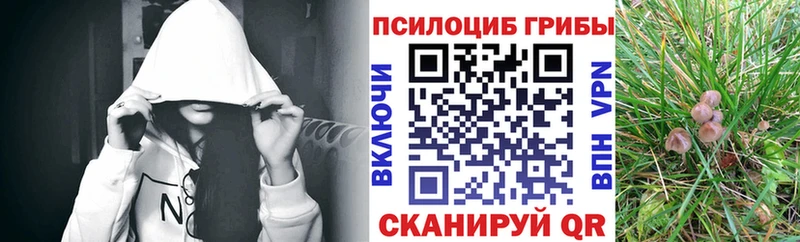 Галлюциногенные грибы Magic Shrooms Кудымкар